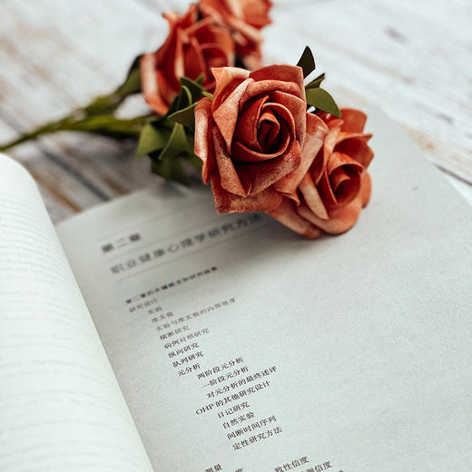 职业健康心理学 工作、压力与健康 应用心理学 时勘教授作序推荐 商品图8