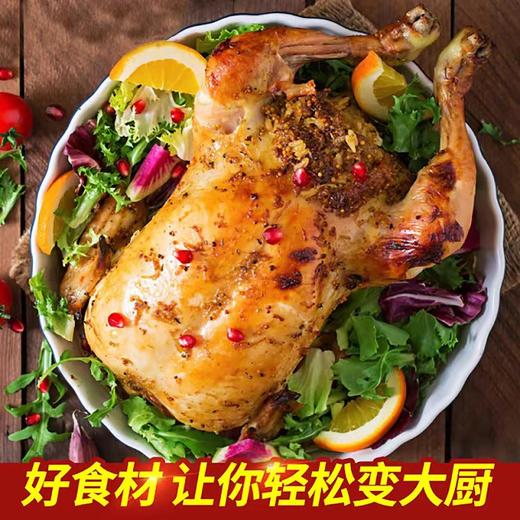 壹号餐桌大别山跑山鸡100天800g（公母不分）冻品~ 商品图0