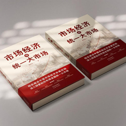 市场经济与统一大市场 林永生 著 管理 商品图3