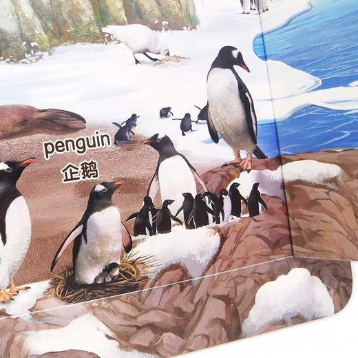 儿童趣味揭秘翻翻书 海洋世界 3-6岁 央美阳光 编 科普百科 商品图1