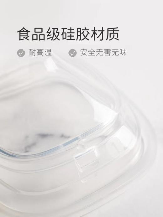 Hegen 婴儿奶嘴（两个装） 商品图8