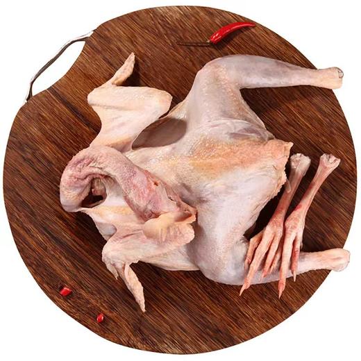 壹号餐桌大别山跑山鸡100天800g（公母不分）冻品~ 商品图4