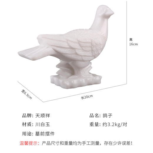 川白玉鸽子 商品图1