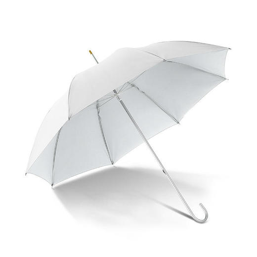 白色素画流行网红直杆雨伞晴雨两用防晒长柄花鸟男女向热卖礼品伞HT-0088B 商品图4