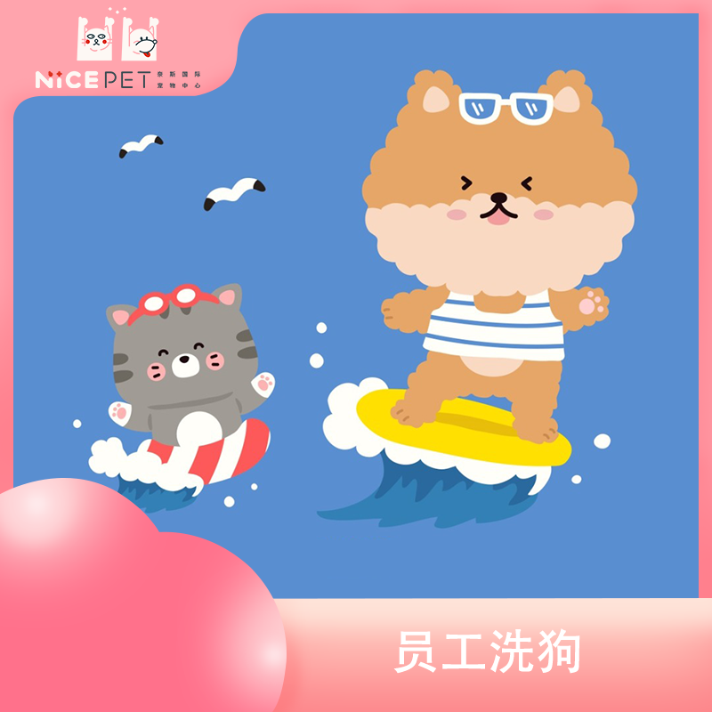 員工洗狗
