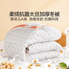 【新品主推】水星家纺豆呵护大豆加厚冬被床上用品 商品缩略图0