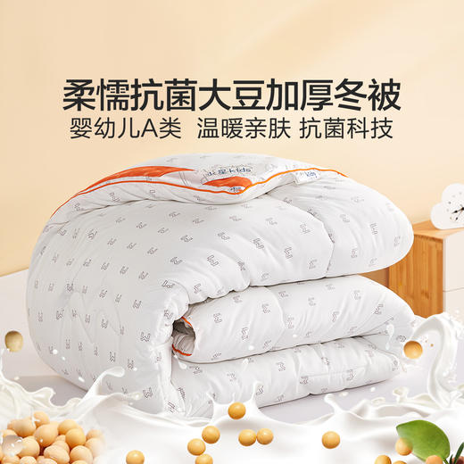 【新品主推】水星家纺豆呵护大豆加厚冬被床上用品 商品图0