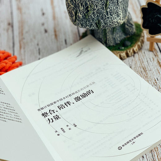 整合、陪伴、激励的力量 青椒计划探索中国乡村教师成长的创新实践 教育公平 商品图7