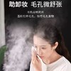 小红书推荐，纳米补水冷热喷 蒸脸器脸面部嫩肤毛孔加湿美容热敷喷雾蒸脸仪 商品缩略图4