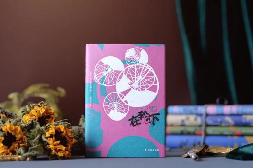 【一代人的精神导师】《黑塞精选作品集》（精装5册）| 治愈人生，发现自我，修行人生。 商品图4