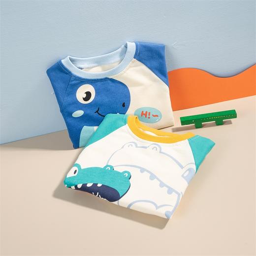 贝贝怡童装儿童卫衣秋季男童衣服休闲上衣洋气秋装223S3100 商品图2