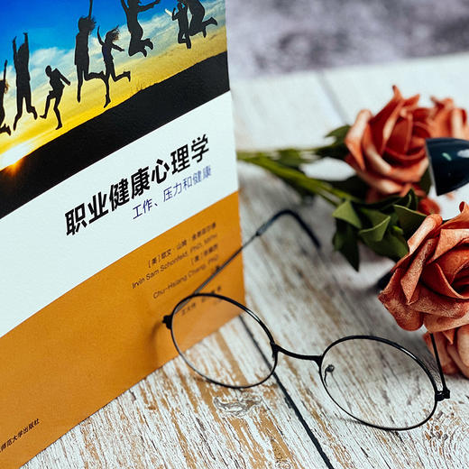 职业健康心理学 工作、压力与健康 应用心理学 时勘教授作序推荐 商品图2