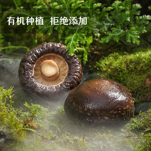 湖心泉精选有机香菇 袖珍小香菇300g罐装 商品图1