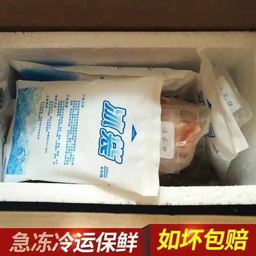 壹号餐桌大别山跑山鸡100天800g（公母不分）冻品~ 商品图1