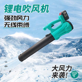 【货号010124】大艺款插脚有刷锂电暴风枪锂电吹风机机头【不含电池充电器】