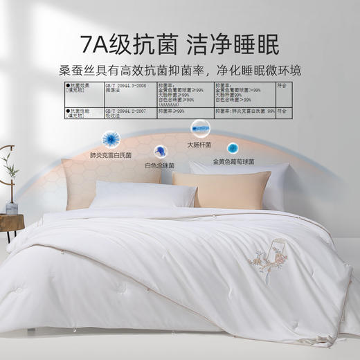 【新品主推】水星家纺金玉芳菲桑蚕丝二合一被床上用品 商品图2