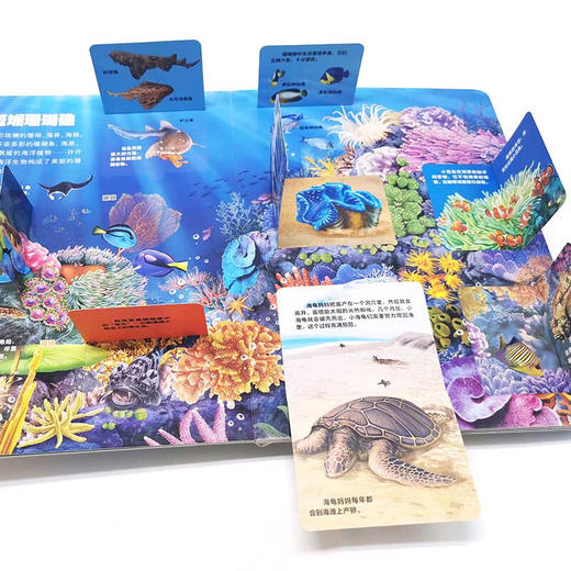 儿童趣味揭秘翻翻书 海洋世界 3-6岁 央美阳光 编 科普百科 商品图2