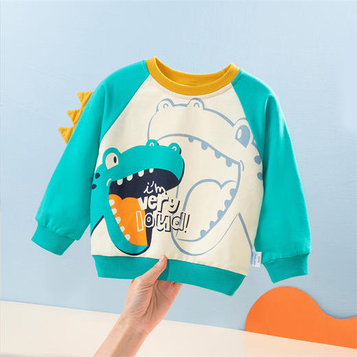 贝贝怡童装儿童卫衣秋季男童衣服休闲上衣洋气秋装223S3100 商品图4