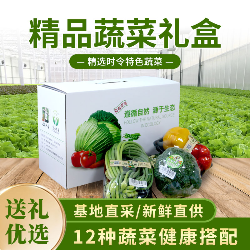 密农人家蔬菜礼盒  新鲜时令蔬菜12种  包邮装