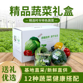 【送礼必备】密农人家蔬菜礼盒  新鲜时令蔬菜12种  包邮装