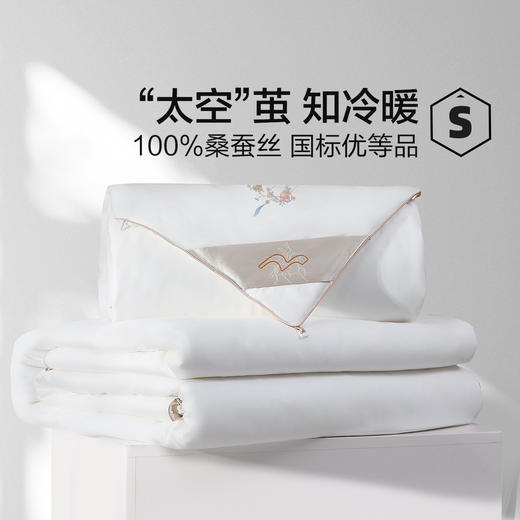 【新品主推】水星家纺金玉芳菲桑蚕丝二合一被床上用品 商品图0