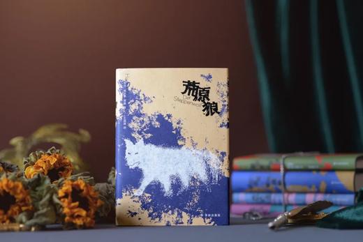 【一代人的精神导师】《黑塞精选作品集》（精装5册）| 治愈人生，发现自我，修行人生。 商品图5