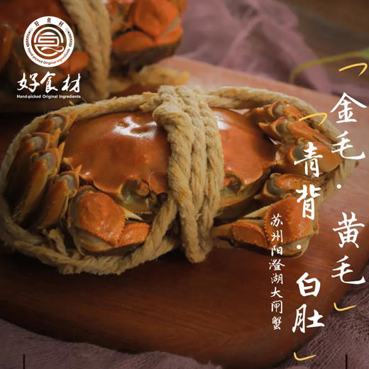 CY-阳澄湖大闸蟹礼券 商品图1
