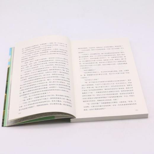 梦中小屋的安妮/红发安妮系列 商品图4
