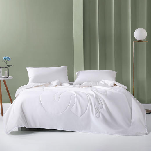 水星家纺 大豆夏被空调被 婴幼儿可用 商品图5