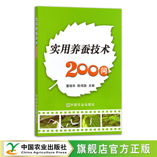实用养蚕技术200问 董瑞华 陈伟国 桑叶 桑树 蚕丝 桑蚕 养殖技术 问答 14489 商品图0