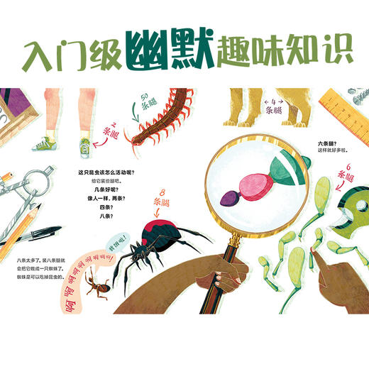 诺贝尔科学馆：如何制作一只昆虫（精装） 商品图3