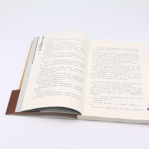 盗墓笔记(1七星鲁王宫) 商品图4