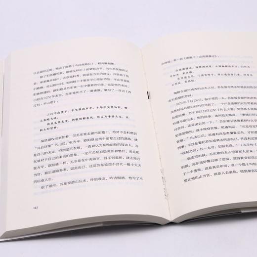 作个闲人(苏东坡的治愈主义) 商品图4