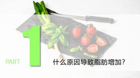 1.什么原因导致脂肪增加？