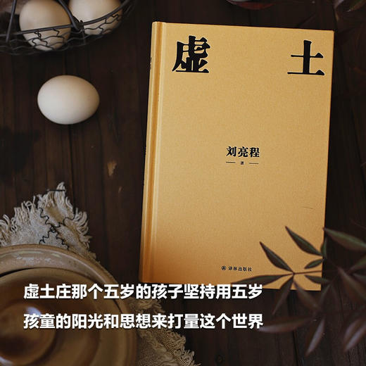 刘亮程作品 虚土 刘亮程 著 小说 商品图1