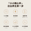 【坂田釜作】电炖养生杯 商品缩略图3
