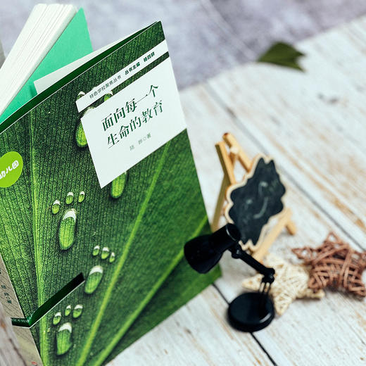 面向每一个生命的教育 特色学校聚焦丛书 园长用书 幼儿园管理 特色幼儿园办学 商品图2