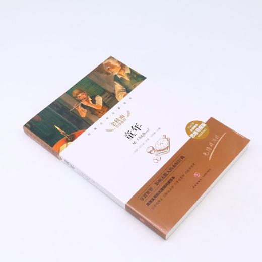 童年(名师精评思维导图版无障碍阅读)/经典文学名著金库 商品图1