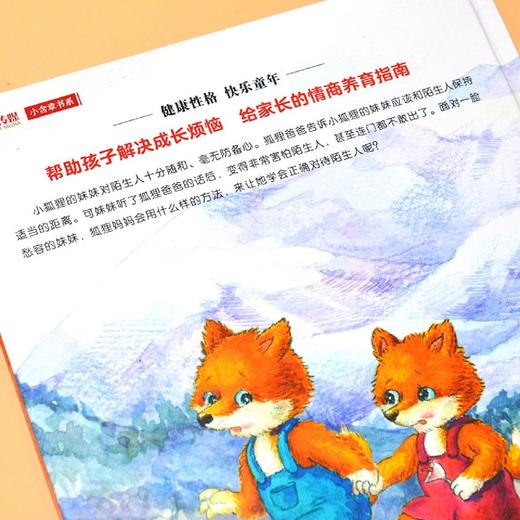 对待陌生人(自我保护)(精) 商品图4