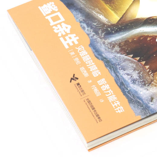 鲨口余生/灾难求生 商品图2