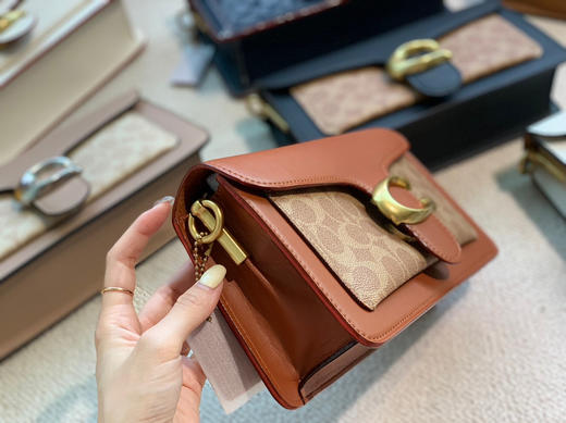 经典coac.h酒神包 高质量特价🉐️ 商品图6