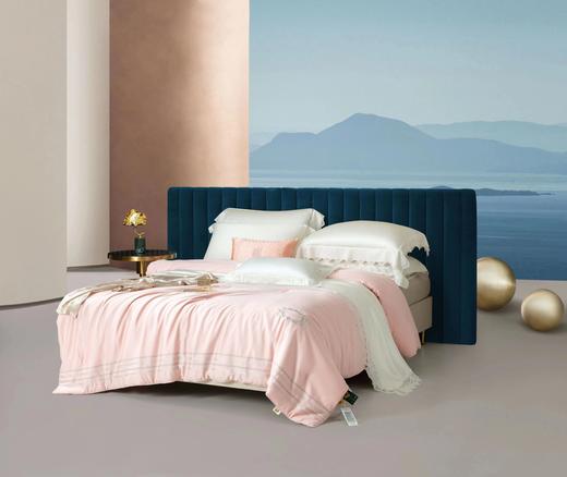 蚕丝被芯 1500g/3斤 商品图1