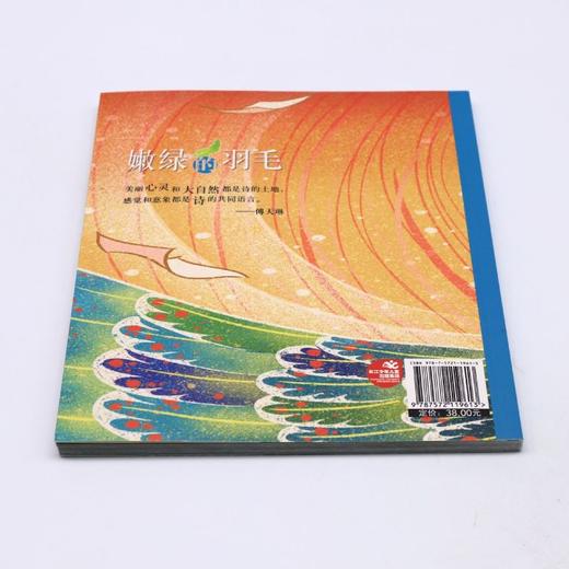 嫩绿的羽毛/小溪流名家童诗坊 商品图2