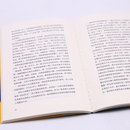 少年维特的烦恼 商品图4