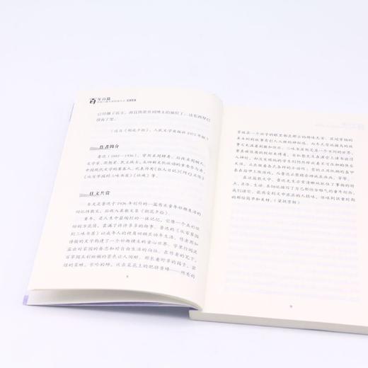 爸爸的花椒糖/百年百篇中国儿童文学经典文丛 商品图4