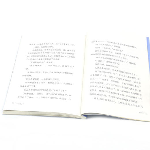 飓风营救/灾难求生 商品图4