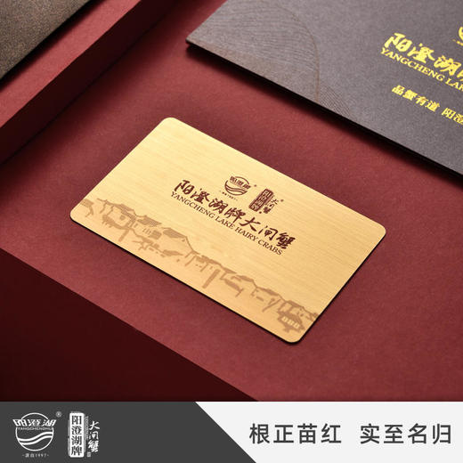 阳澄湖有机大闸蟹金榜题名 商品图3