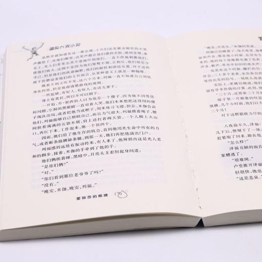 爱丽莎的眼睛/国际大奖小说 商品图4