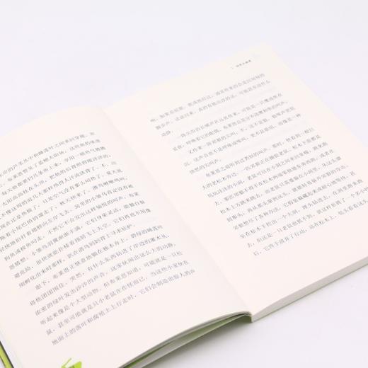 猎物与猎人/手斧男孩 商品图4