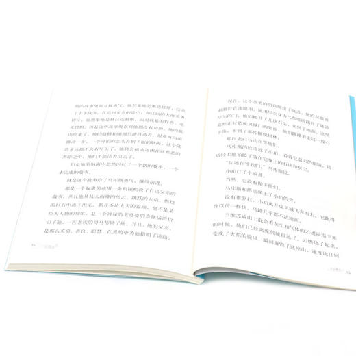 火山脱险/灾难求生 商品图4